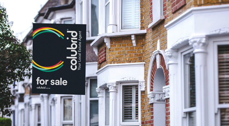 Colubrid - Case Study