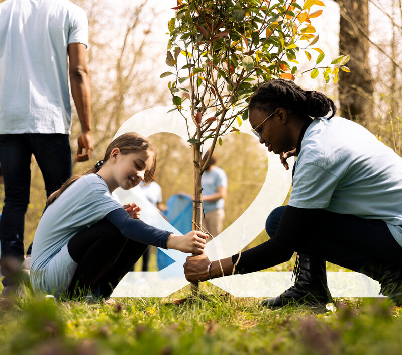 New Haven Care - Case Study